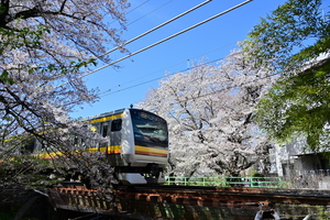 DSC_7374.jpg