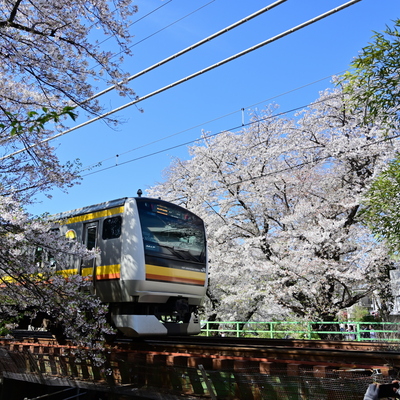 DSC_7374.jpg