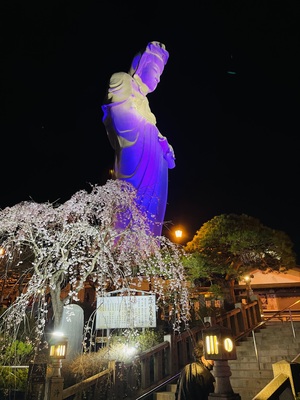 IMG_1490.jpeg