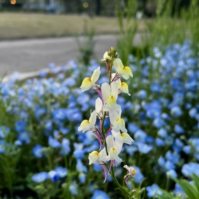 IMG_9489.jpeg