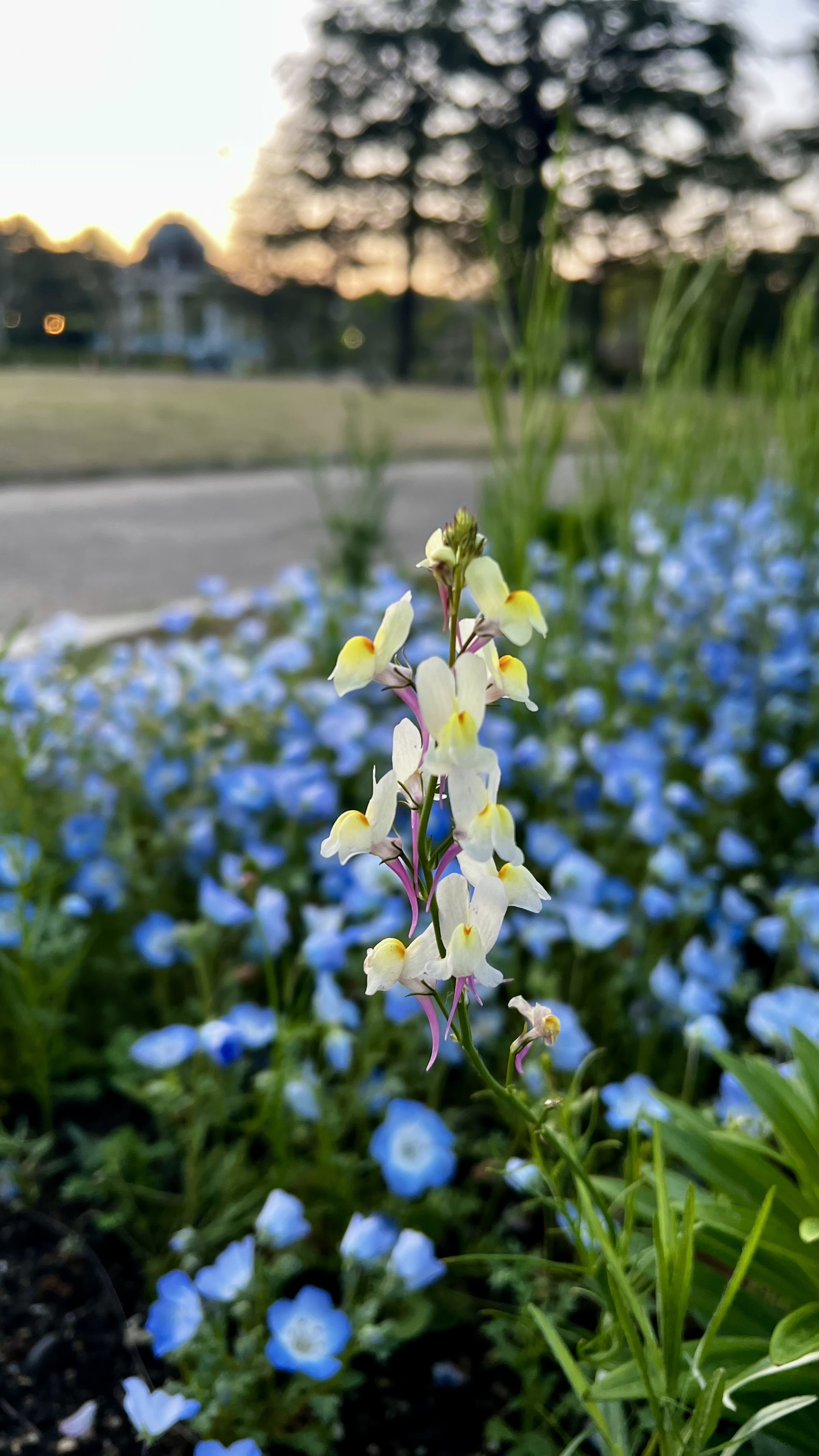 IMG_9489.jpeg