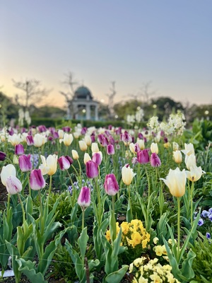 IMG_9474.jpeg