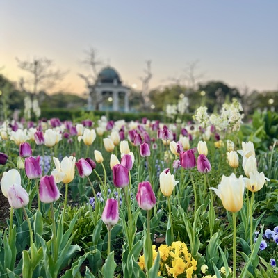 IMG_9474.jpeg