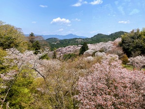 IMG_1366.jpeg