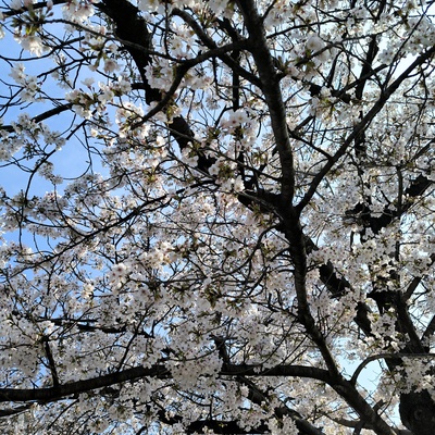 IMG_20260403_084507.jpg
