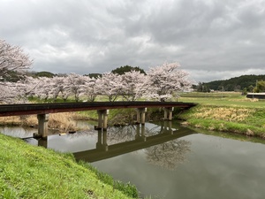 IMG_8659.jpeg
