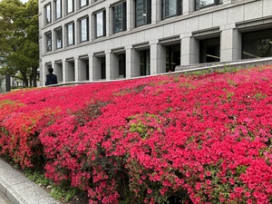 IMG_2166.jpeg
