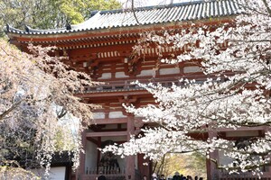 IMG_0783コピー.jpg