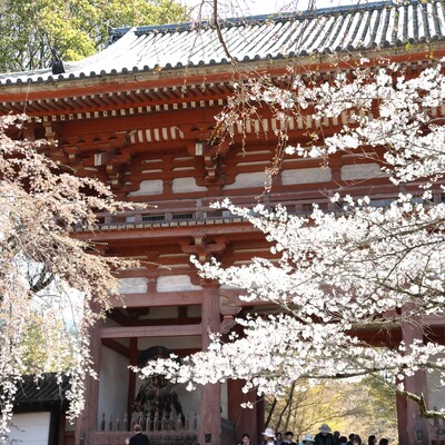 IMG_0783コピー.jpg
