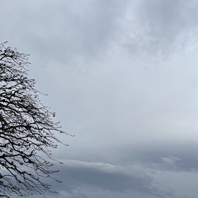 IMG_2984.jpeg