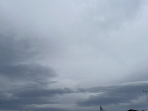 IMG_2985.jpeg