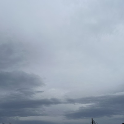 IMG_2985.jpeg