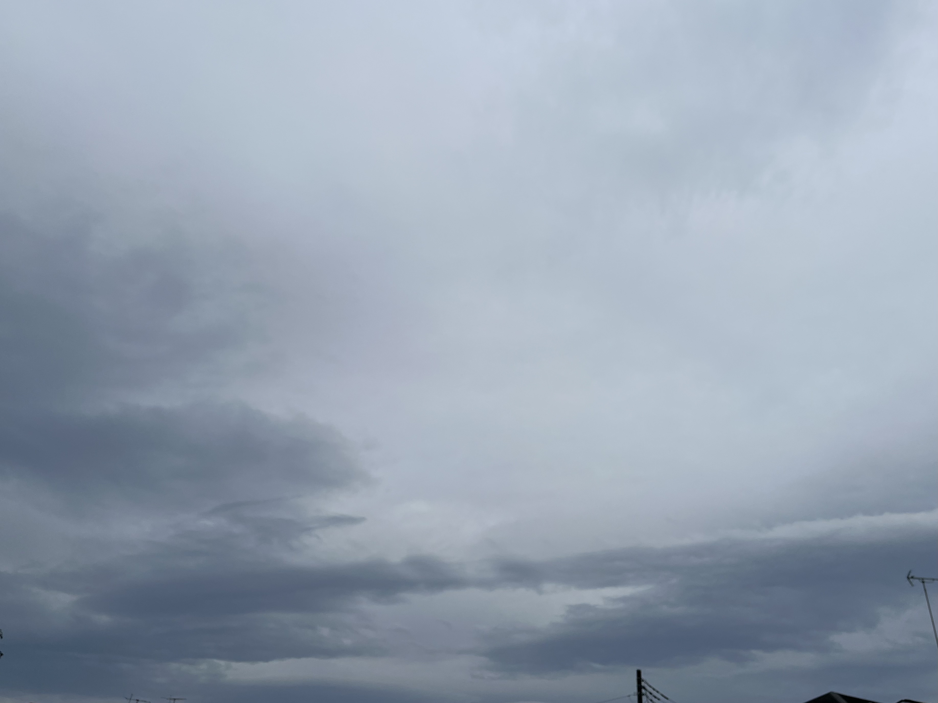 IMG_2985.jpeg