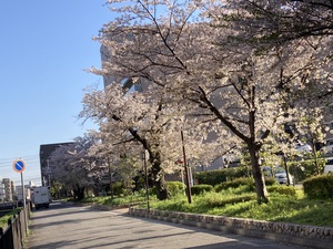 IMG_5872.jpeg