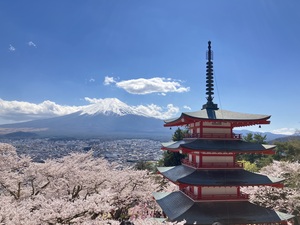IMG_7881.jpeg