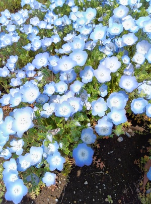260403122812842.JPG
