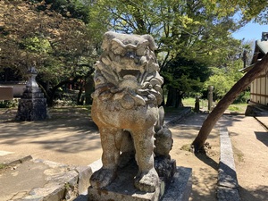 IMG_4219.jpeg