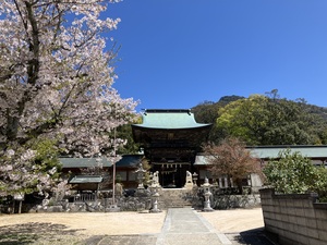 IMG_4220.jpeg