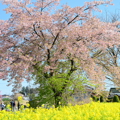DSC_7134.jpg