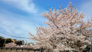 IMG_20260406_105631118_2.jpg