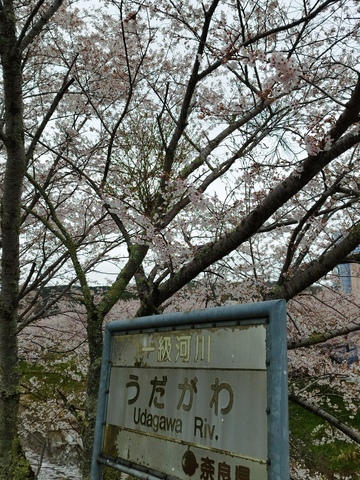 IMG_20260407_151419.jpg