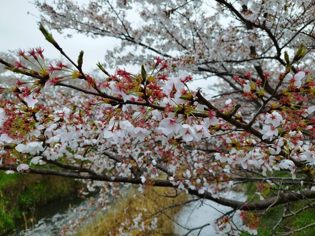IMG_20260407_152021.jpg