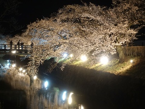 06232D22-4436-4A7F-90AD-03AB9E3553DA.jpeg