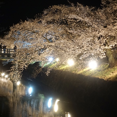 06232D22-4436-4A7F-90AD-03AB9E3553DA.jpeg