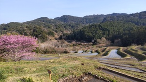 DSC_0400.JPG