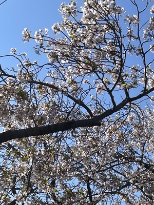 IMG_6957.jpeg