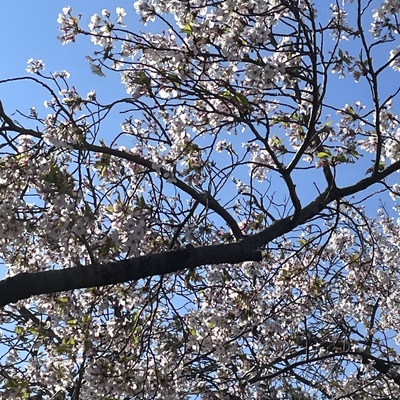 IMG_6957.jpeg