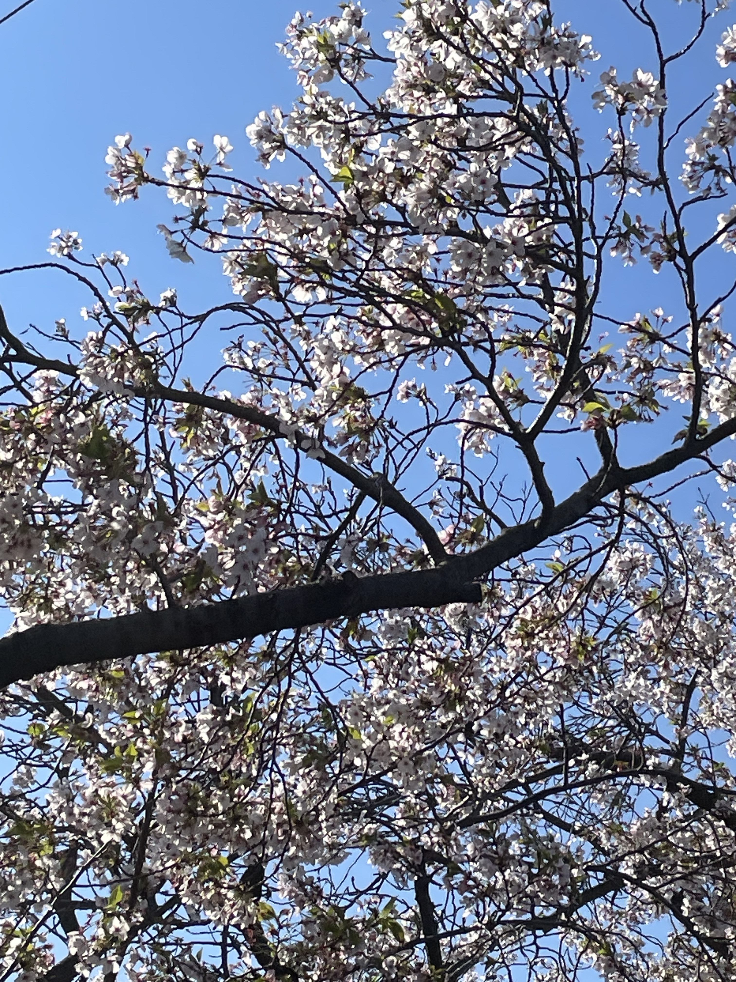 IMG_6957.jpeg