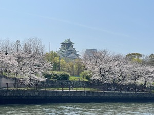 IMG_1167.jpeg