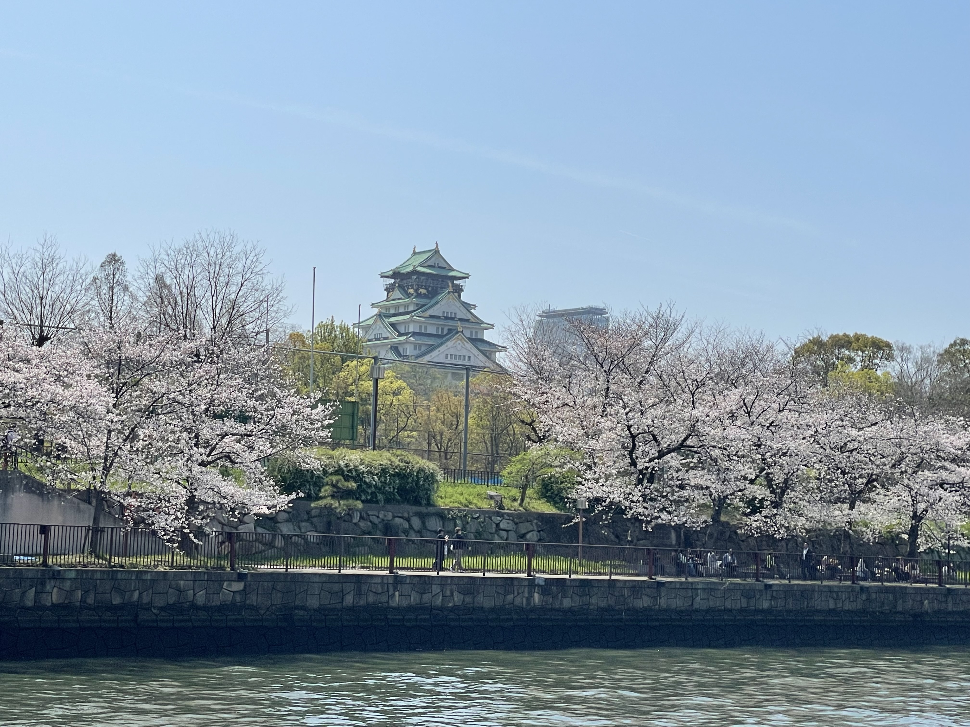 IMG_1167.jpeg