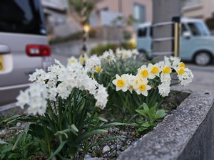 20260403_182553.jpg