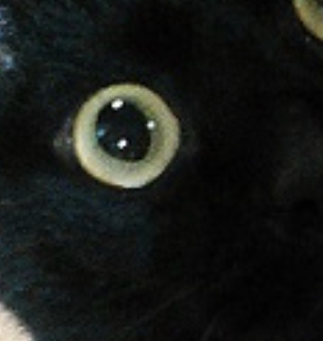 IMG_5282.jpeg