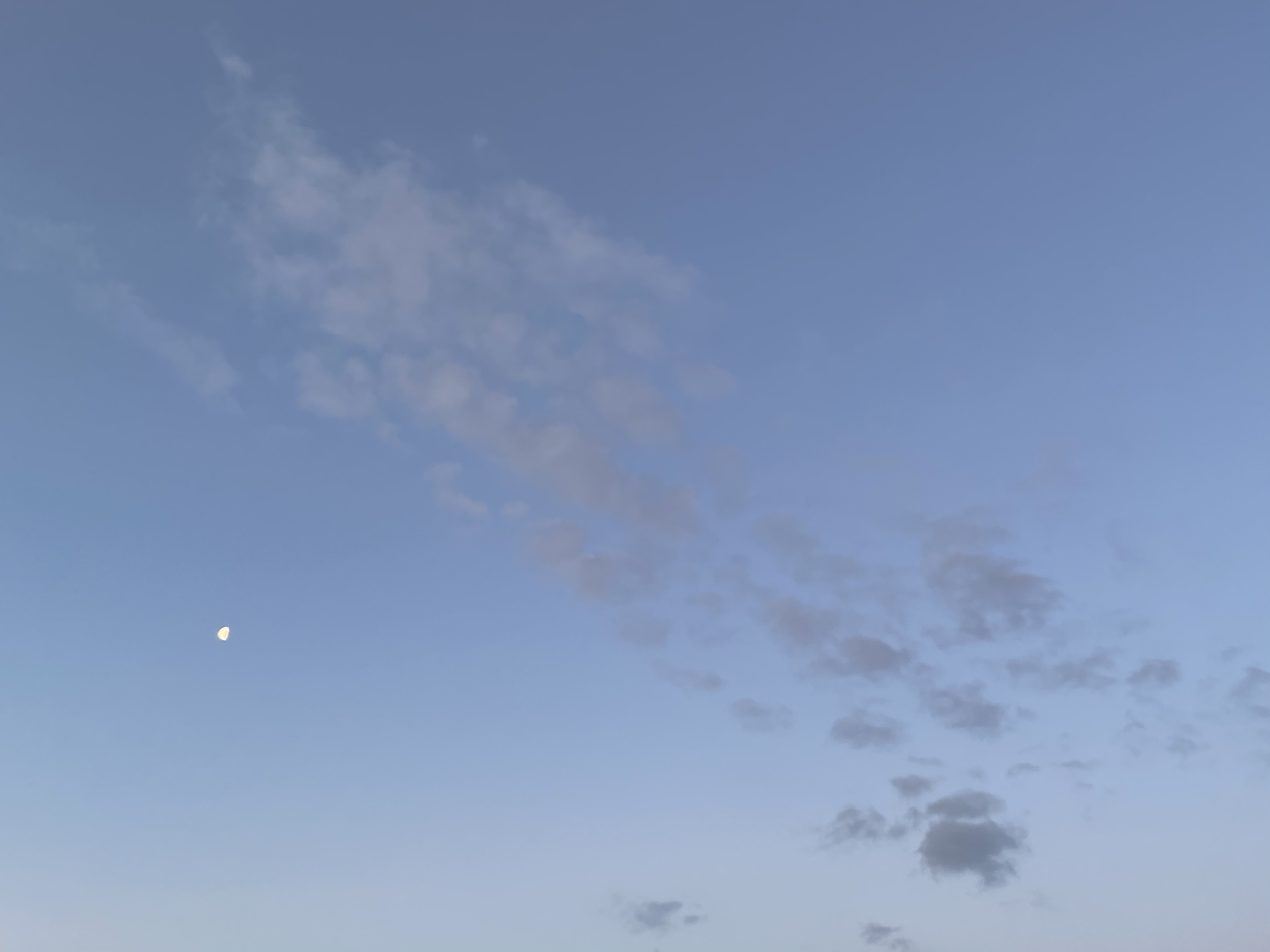 674077A9-940B-4FE7-9900-F4E05288E4AD.jpeg