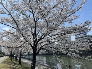 IMG_1223.jpeg