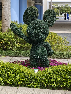 IMG_20260409_112635.jpg