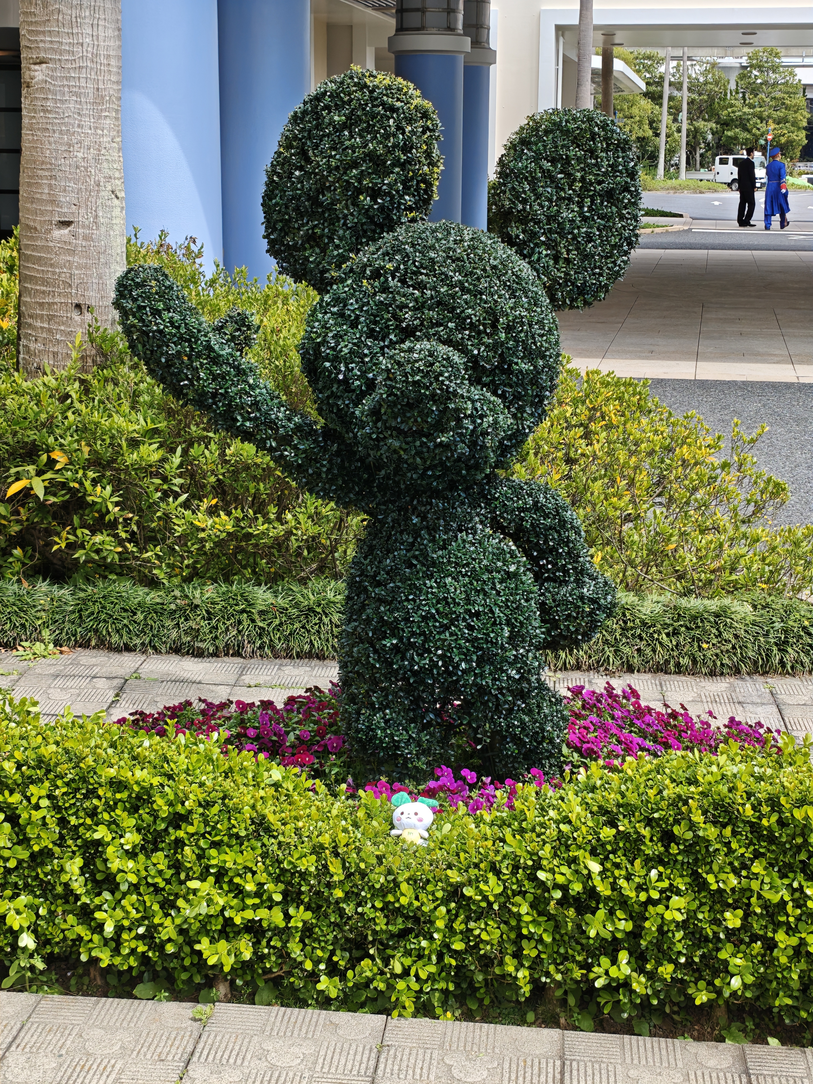IMG_20260409_112635.jpg