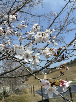 蜀咏悄_2026-03-28_11_51_51.jpg
