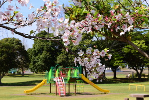 DSC_1520.jpeg