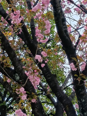 260409115845209.JPG