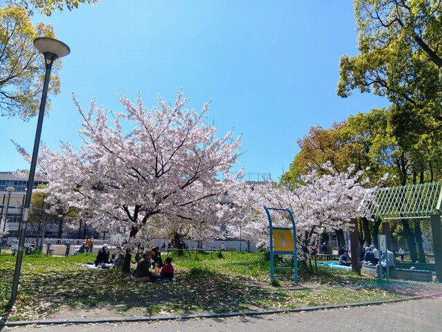 260408125535224_2.JPG