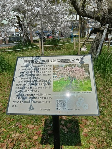 260408125721075_3.JPG