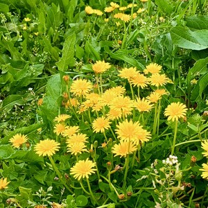 IMG_20260409_104144250_HDR_2.jpg