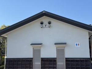 IMG_3416.jpeg