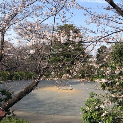 IMG_1565.jpeg