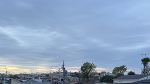 IMG_3003.jpeg