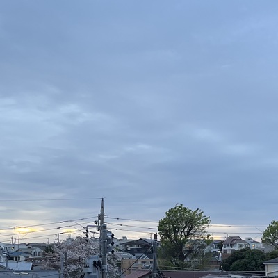 IMG_3003.jpeg